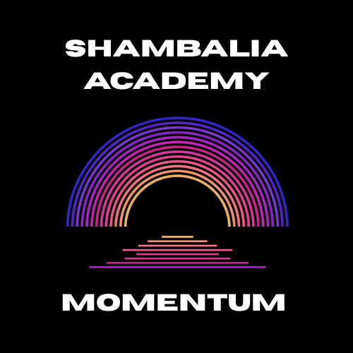 Momentum Plan